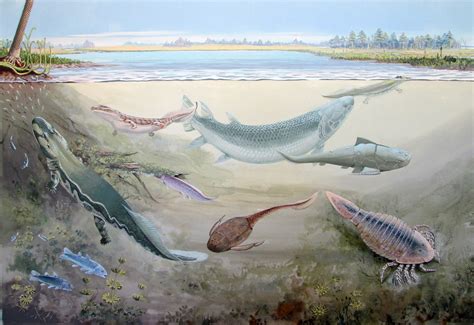 360-Million-Year-Old Fossils of Giant Predatory Fish Found in South ...