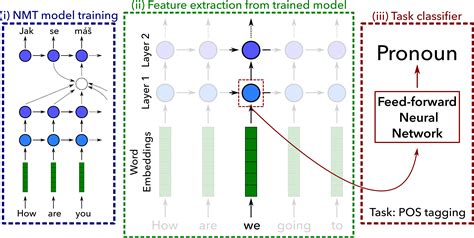 What do Neural Machine Translation Models Learn about Morphology? | DeepAI