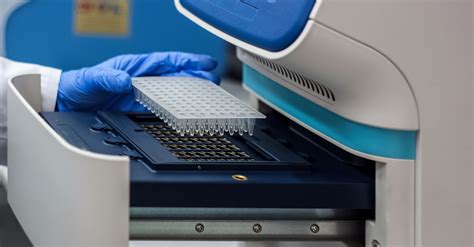 Applications of polymerase chain reaction (PCR) - Overall Science