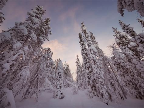 Shooting in the Low Light Conditions of Polar Night - Photography