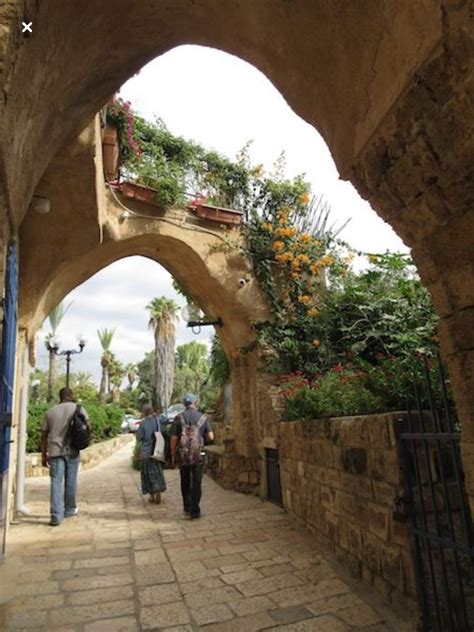 Old city of Jaffa, Israel 🇮🇱 | Jaffa israel, Old jaffa, Tel aviv