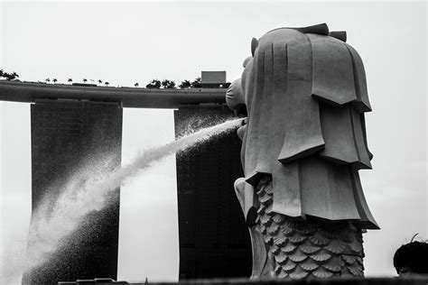 Merlion BW Photograph by Joshua Van Lare - Fine Art America