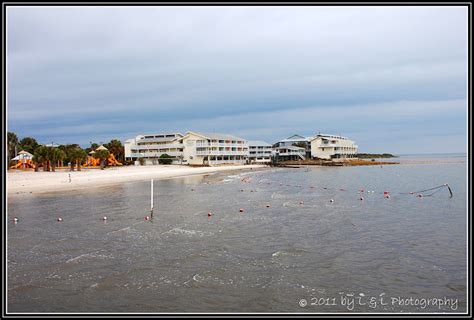 Cedar Key (Florida) Photos: On the beach - Cedar Key