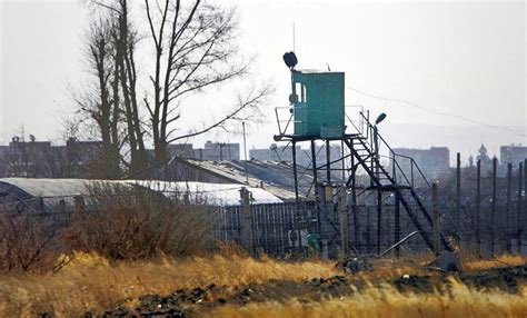 Inside a Russian penal colony - UnHerd : europe