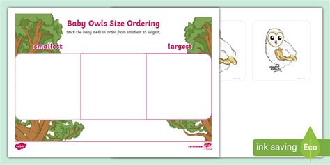 👉 Baby Owls Size Ordering Activity (teacher made)