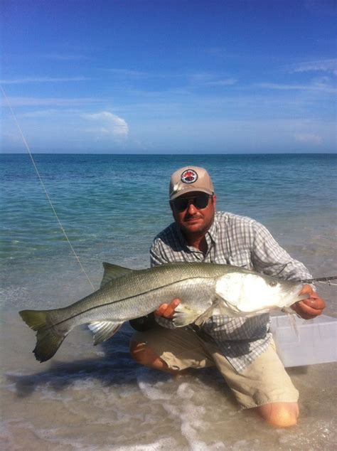 9 best Siesta Key fishing spots – Fishing with Capt Jim