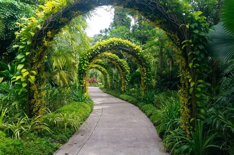 Singapore Botanic Gardens Walk - Map and Photo Guide