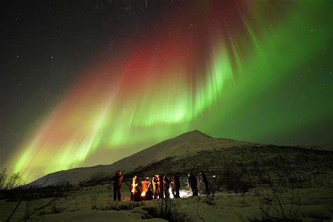 Tromsø: Northern Lights Tour with Free Professional Portrait | GetYourGuide