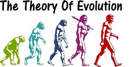 My Problems With the Theory of Evolution | HubPages