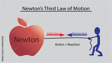 illustration of physics, Newton's third law of motion, Law of gravity ...