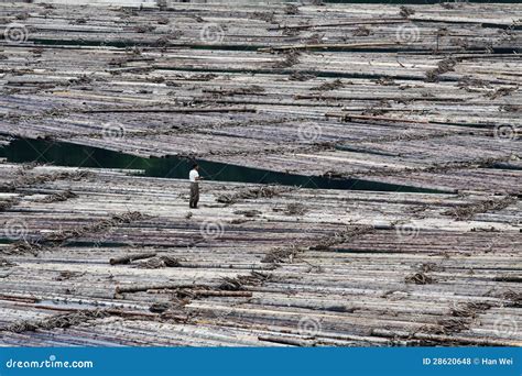 Wooden raft editorial stock photo. Image of rafts, drifting - 28620648