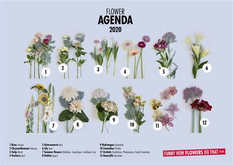 Flower Agenda 2020 Announced - British Florist Association