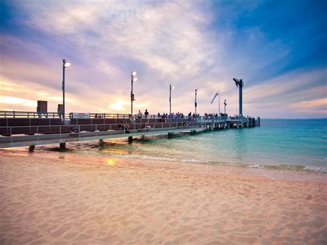 Tangalooma Island Resort Dolphin Feeding | Dolphin Feeding Day