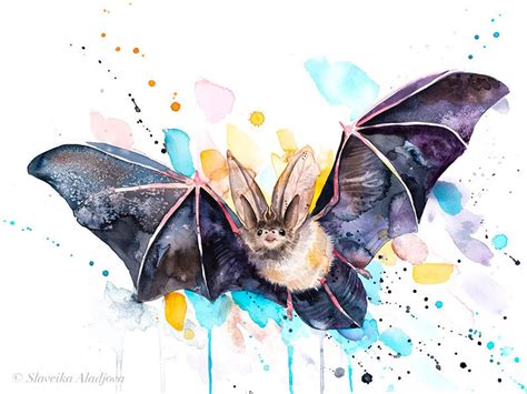 Townsend's big-eared bat watercolor painting print by | Etsy in 2021 ...