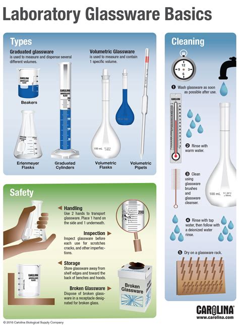 Infographic: Laboratory Glassware Basics | Carolina.com