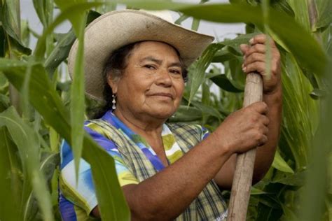 A partir de hoy empieza la celebración del día del campesino ...