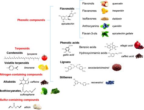 The effects of polyphenols and other bioactives on human health - Food ...