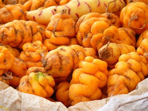 The fascinating history behind Peru's humble potato