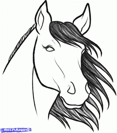 How To Easily Draw A Horse at Drawing Tutorials