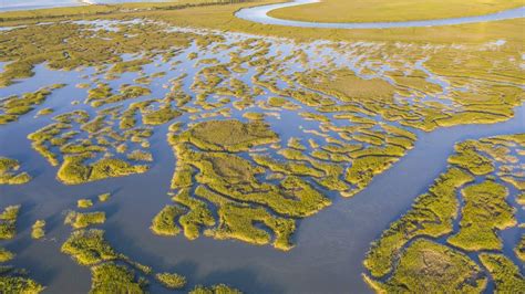 Along Southeast Coast, Plan to Protect 1 Million Acres of Salt Marsh ...