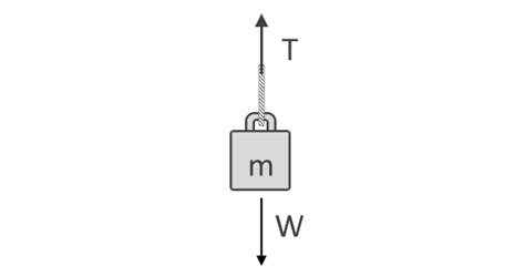 Tension Force Equation Physics - Tessshebaylo