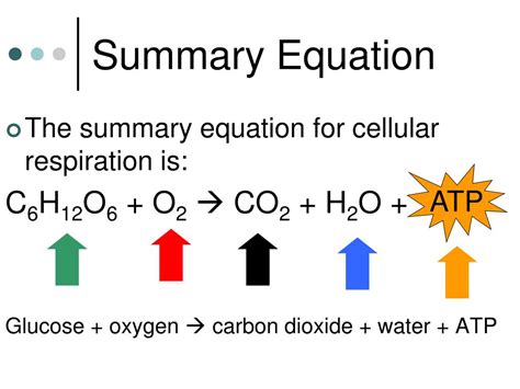 Overall Summary Equation For Cellular Respiration - Tessshebaylo