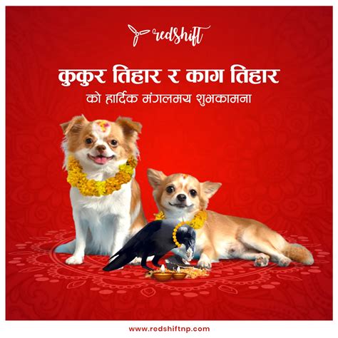 Kaag Tihar | Kukur Tihar Design | Festive Post Ads :: Behance