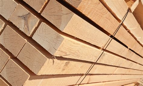 What is the difference between timber, lumber and wood?