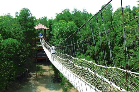 Pulau Kukup National Park - GoWhere Malaysia