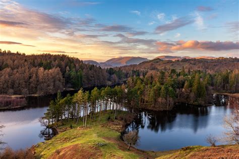 Tarn Hows | Lake District Beauty Spots | Scenic Walks