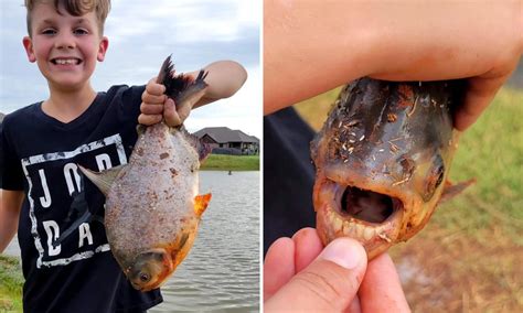 Kid Catches Fish with Human-Like Teeth in an Oklahoma Pond