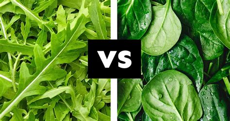 Arugula Vs. Spinach: Which Is Better? | Live Eat Learn