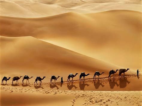 Desert Saudi Arabia Wallpapers - Top Free Desert Saudi Arabia ...