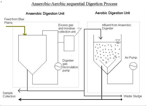 Typical digestion sequence and configuration of digesters used in the ...