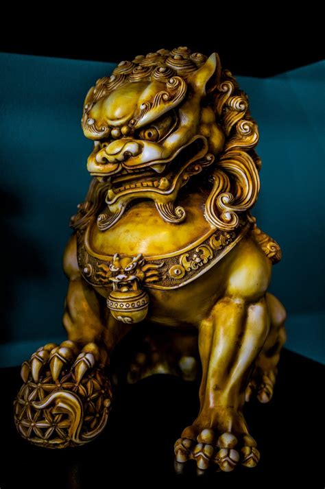 Shishi is the Chinese word for guardian lions which are statues ...