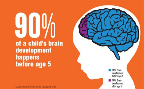 90% OF A CHILD BRAIN’S DEVELOPMENT HAPPENS BEFORE THE AGE OF 5 - Kinder ...