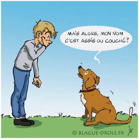 Blague animaux - Blagues drôles et devinettes sur les animaux