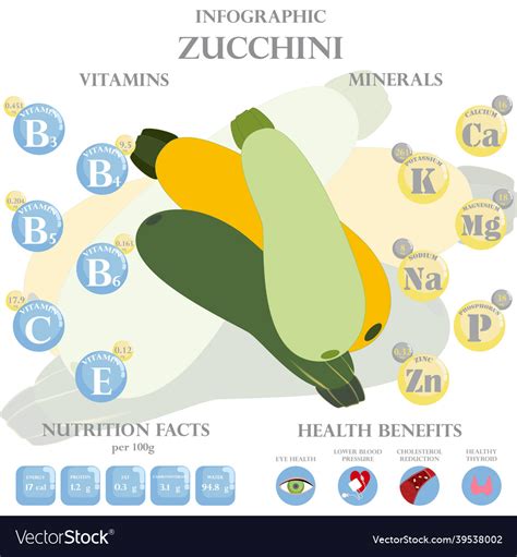 Zucchini nutrition facts and health benefits Vector Image