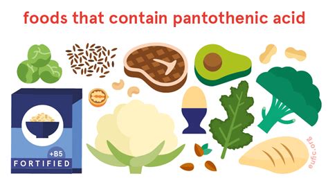 Pantothenic acid (vitamin B5): foods, functions, how much do you need ...