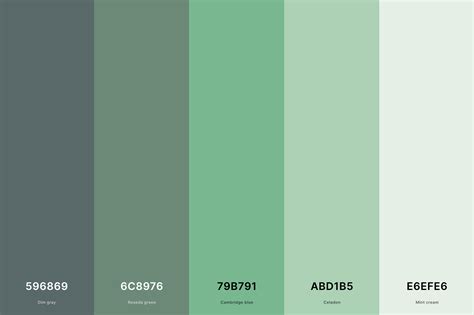 35+ Best Green Color Palettes with Names and Hex Codes – CreativeBooster