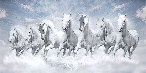 Full Hd 7 Running White Horse Hd Wallpaper - WALLPAPER NATURAL IMAGES