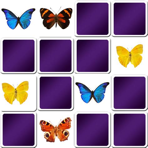 Play matching game for seniors - Butterflies - Online & Free | Memozor