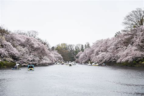 inokashira-park-18 – Travels With Nano