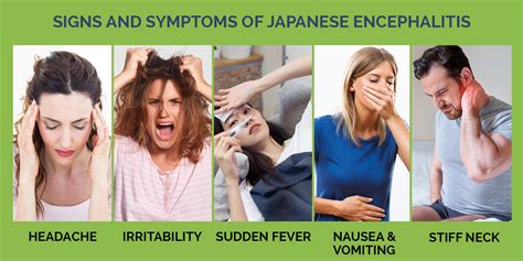 The Signs and Symptoms of Japanese Encephalitis