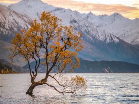 Lake Wakatipu