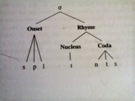 Syllable structure