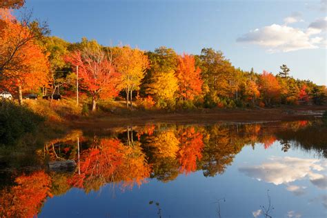 Becoming Acadia National Park: History & Culture