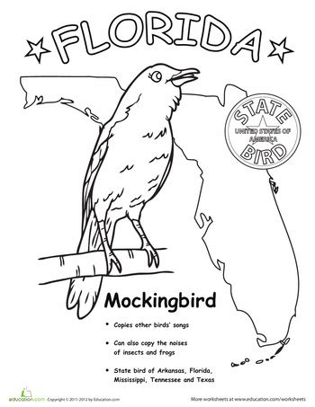 Florida State Bird Coloring Page