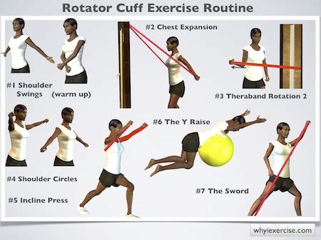 Rotator cuff exercises: improve your strength for lifting & overhead ...