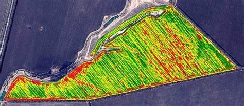 Yield mapping - Agro Web System